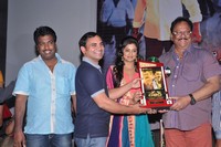 Chandi Platinum Disc Function
